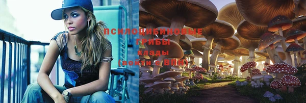 трава Алексин